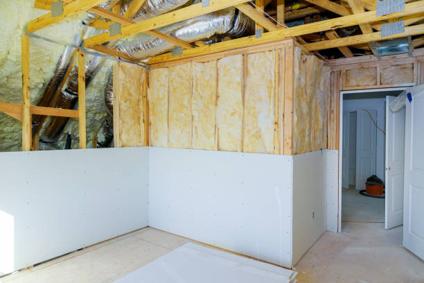 Best Eco-Friendly Insulation in , CA