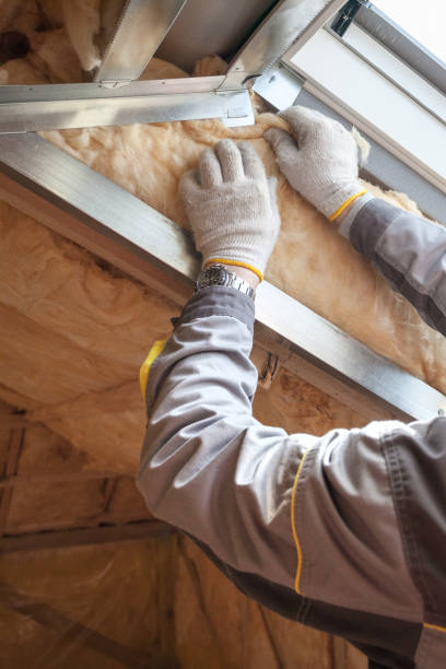 Best Specialized Insulation Services in , CA