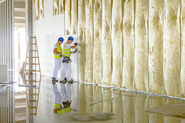 Best Cellulose Insulation in , CA